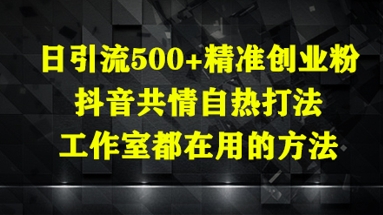 日引流500+精准创业粉，抖音共情自热打法，工作室都在用的方法小白网创_互联网创业项目_网络创业小白网创