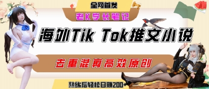 海外tiktok小说推文暴力项目，高停留率，高转化率，上手后一天搞顿饭钱不是问题小白网创_互联网创业项目_网络创业小白网创