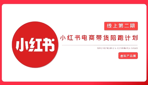 2025小红书虚拟电商实战课，从0到1打造无货源店铺，AI+爆款笔记轻松变现小白网创_互联网创业项目_网络创业小白网创