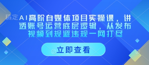 AI高阶自媒体项目实操课，讲透账号运营底层逻辑，从发布视频到规避违规一网打尽小白网创_互联网创业项目_网络创业小白网创