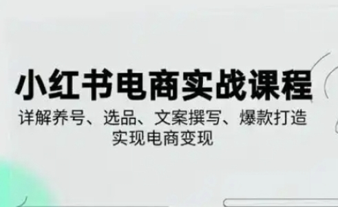 小红书从0-1实操课(2023-2025)，详解养号、选品、文案撰写、爆款打造实现电商变现小白网创_互联网创业项目_网络创业小白网创