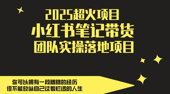 2025超火项目，副业最佳选择，小红书笔记带货团队实操落地项目，，轻松日入5张小白网创_互联网创业项目_网络创业小白网创