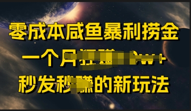 零成本咸鱼暴利捞金，一个月收益过w+，秒发新玩法小白网创_互联网创业项目_网络创业小白网创