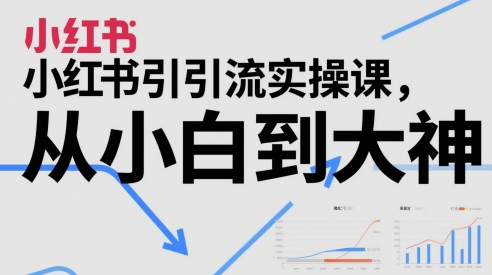 小红书引流实操课，从小白到大神小白网创_互联网创业项目_网络创业小白网创