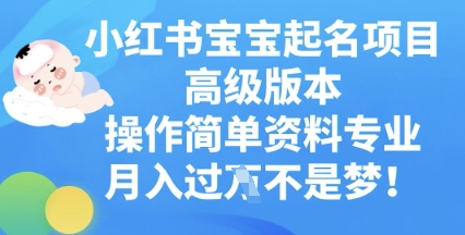 小红书宝宝起名项目高级版本，操作简单，资料专业，月入过W小白网创_互联网创业项目_网络创业小白网创