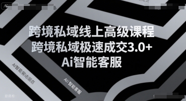跨境私域线上高级课程，跨境私域极速成交3.0+Ai智能客服小白网创_互联网创业项目_网络创业小白网创