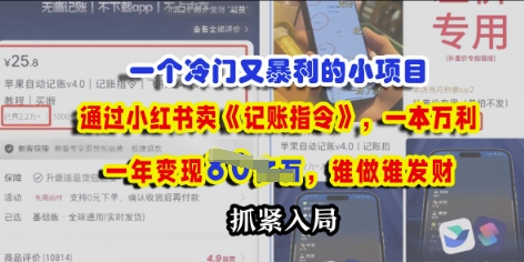 一个冷门需求，通过小红书卖《记账指令》，一本万利，谁做谁发，抓紧入局小白网创_互联网创业项目_网络创业小白网创