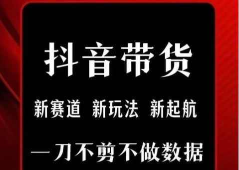 抖音短视频一刀不剪带货，不剪辑，不直播，每天发个视频，等着出单获取带货佣金小白网创_互联网创业项目_网络创业小白网创