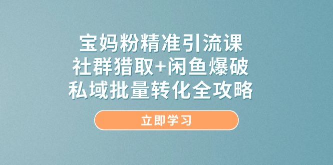 （14820期）宝妈粉精准引流课，社群猎取+闲鱼爆破，私域批量转化全攻略小白网创_互联网创业项目_网络创业小白网创