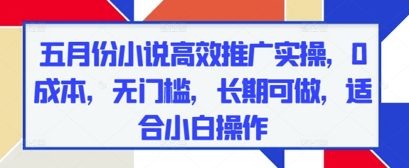 五月份小说高效推广实操，0成本，无门槛，长期可做，适合小白操作小白网创_互联网创业项目_网络创业小白网创