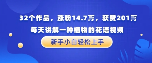 32个作品，涨粉14.7W，获赞201W，每天讲解一种植物的花语视频，无需任何技巧，新手小白轻松上手小白网创_互联网创业项目_网络创业小白网创