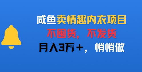 咸鱼卖情趣内衣项目，不囤货，不发货，月入3W+，悄悄做小白网创_互联网创业项目_网络创业小白网创