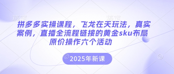 拼多多实操课程，飞龙在天玩法，真实案例，直播全流程链接的黄金sku布局原价操作六个活动小白网创_互联网创业项目_网络创业小白网创