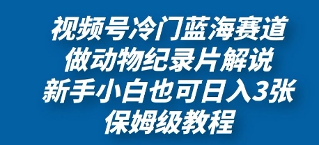 视频号冷门蓝海赛道，做动物纪录片解说，新手小白也日入3张，保姆级教程小白网创_互联网创业项目_网络创业小白网创