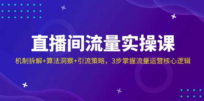 （14122期）直播间流量实操课：机制拆解+算法洞察+引流策略，3步掌握流量运营核心逻辑小白网创_互联网创业项目_网络创业小白网创