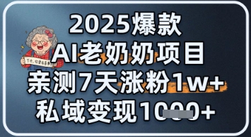 2025爆款 AI 老奶奶项目：亲测 7 天涨粉 1W+，私域变现 1k+小白网创_互联网创业项目_网络创业小白网创