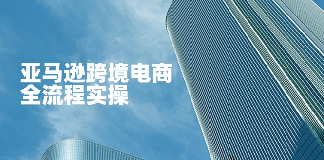 （14252期）亚马逊跨境电商全流程实操，教你从零开始，掌握店铺运营与广告技巧小白网创_互联网创业项目_网络创业小白网创