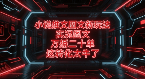 小说推文图文新玩法，实况图文，万播二十单，这转化太牛了！小白网创_互联网创业项目_网络创业小白网创