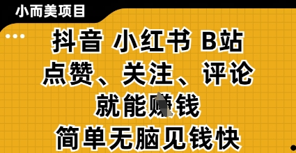 小而美的项目，抖音小红书B站视频点赞、关注、评论就能挣钱，简单无脑立见收益，妥妥的零撸项目【揭秘】小白网创_互联网创业项目_网络创业小白网创