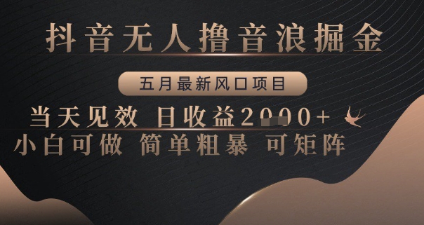 抖音无人撸音浪掘金，五月最新风口项目，当天见效，日收益多张，小白可做简单粗暴可矩阵【揭秘】小白网创_互联网创业项目_网络创业小白网创