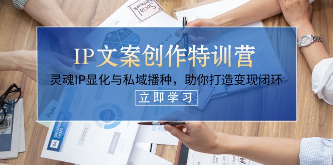 （14330期）IP文案创作特训营，灵魂IP显化与私域播种，助你打造变现闭环（14节课）小白网创_互联网创业项目_网络创业小白网创