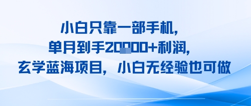 小白只靠一部手机，单月到手2W+利润，玄学蓝海项目，小白无经验也可做小白网创_互联网创业项目_网络创业小白网创