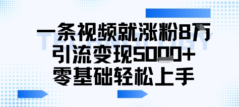 一条视频就涨粉8W引流变现5k+，0基础项目轻松上手小白网创_互联网创业项目_网络创业小白网创