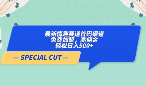 【轻云】最新情趣赛道首码渠道，免费加盟，高佣金，轻松日入5张+小白网创_互联网创业项目_网络创业小白网创