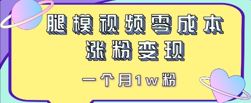 腿模视频，零成本涨粉变现，一个月1w粉小白网创_互联网创业项目_网络创业小白网创