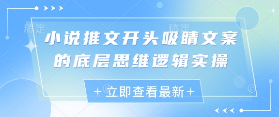 小说推文开头吸睛文案的底层思维逻辑实操小白网创_互联网创业项目_网络创业小白网创