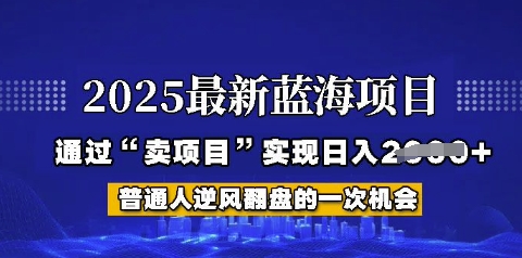 2025年首次揭秘如何通过“网创项目”日入多张【揭秘】小白网创_互联网创业项目_网络创业小白网创