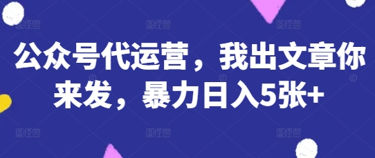公众号代运营，我出文章你来发，暴力日入5张+【揭秘】小白网创_互联网创业项目_网络创业小白网创