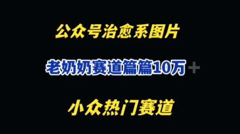公众号老奶奶治愈系流量主，篇篇10W+小白网创_互联网创业项目_网络创业小白网创