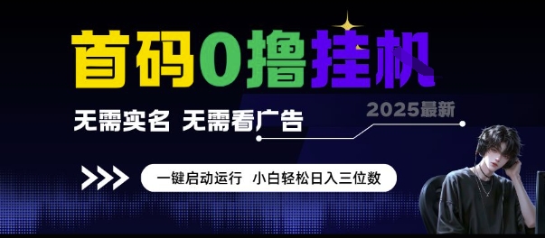 首码0撸挂G项目，无需实名无需看广告 一键启动运行，小白轻松日入三位数【揭秘】小白网创_互联网创业项目_网络创业小白网创