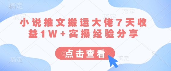 小说推文搬运大佬7天收益1W+实操经验分享小白网创_互联网创业项目_网络创业小白网创