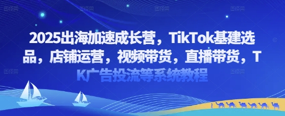 2025出海加速成长营，TikTok基建选品，店铺运营，视频带货，直播带货，TK广告投流等系统教程小白网创_互联网创业项目_网络创业小白网创