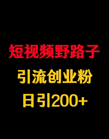 短视频野路子引流创业粉，日引200+小白网创_互联网创业项目_网络创业小白网创
