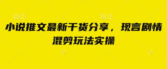 小说推文最新干货分享，现言剧情混剪玩法实操小白网创_互联网创业项目_网络创业小白网创