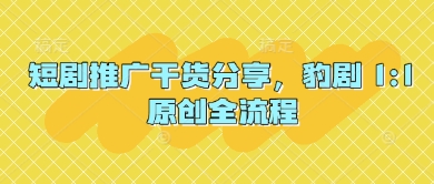 短剧推广干货分享，豹剧 1:1原创全流程小白网创_互联网创业项目_网络创业小白网创