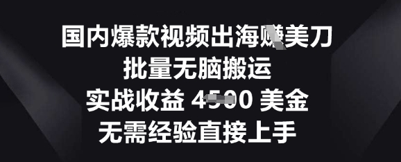 国内爆款视频出海挣美刀，批量无脑搬运，实战收益4.5k，无需经验直接上手小白网创_互联网创业项目_网络创业小白网创