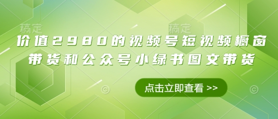 价值2980的视频号短视频橱窗带货和公众号小绿书图文带货小白网创_互联网创业项目_网络创业小白网创