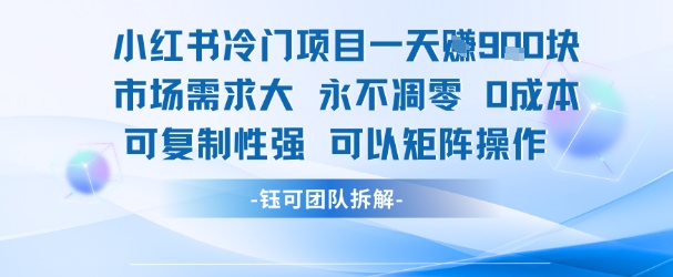 小红书冷门项目一天收益9张，市场需求大，0成本，可复制性强可以矩阵操作小白网创_互联网创业项目_网络创业小白网创
