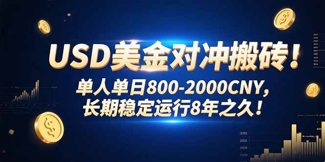 （15551期）USD美金对冲搬砖!单人单日800-2000CNY，长期稳定运行8年之久!小白网创_互联网创业项目_网络创业小白网创