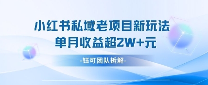 小红书私域项目新玩法，单月变现过W+小白网创_互联网创业项目_网络创业小白网创