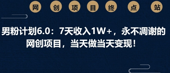 男粉计划6.0：7天收入1W+，永不凋谢的网创项目，当天做当天变现小白网创_互联网创业项目_网络创业小白网创