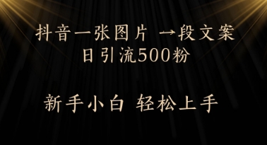 每天2分钟，抖音一张图片 一段文案日引流500粉小白网创_互联网创业项目_网络创业小白网创