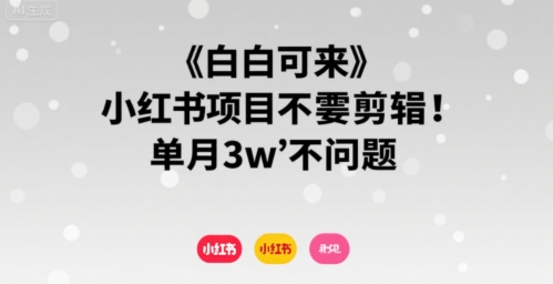 小白可来 小红书项目不需要剪辑 单月3w不是问题小白网创_互联网创业项目_网络创业小白网创