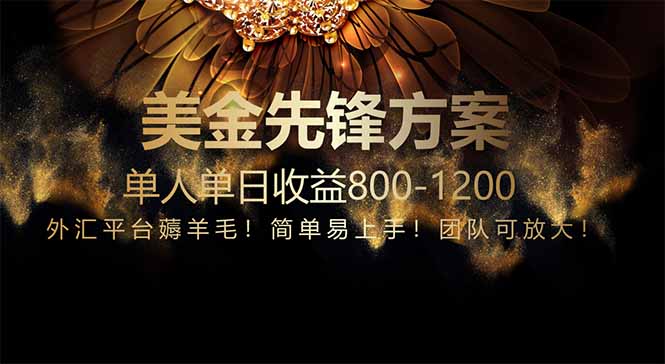 （14761期）免费技术！小众赛道！一年布局抵三年努力，每日800+小白网创_互联网创业项目_网络创业小白网创