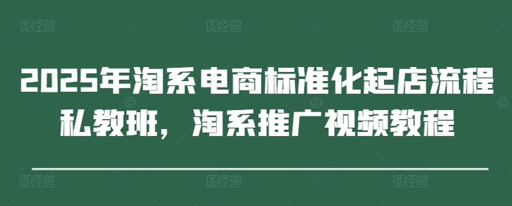 2025年淘系电商标准化起店流程私教班，淘系推广视频教程小白网创_互联网创业项目_网络创业小白网创