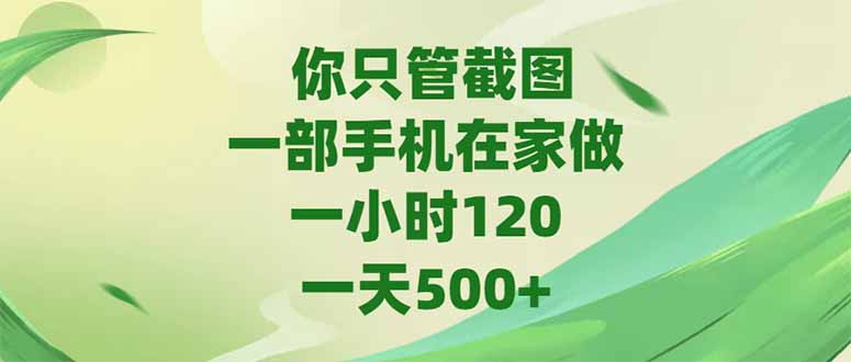 （15039期）你只管截图，一部手机在家做，一小时120，-天500+小白网创_互联网创业项目_网络创业小白网创